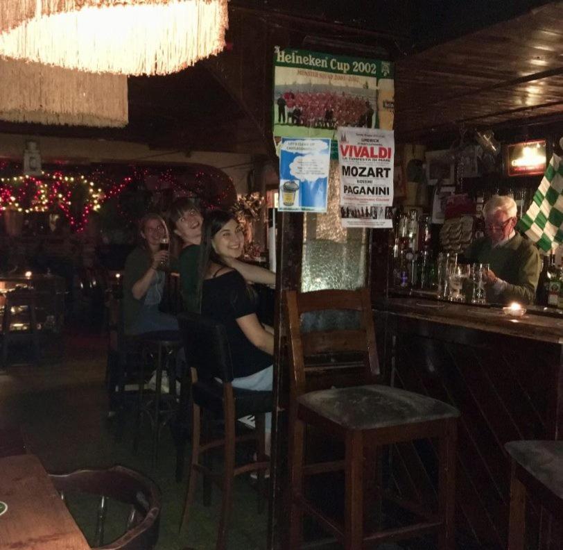 Kingfisher Lodge & Pub Castleconnell エクステリア 写真