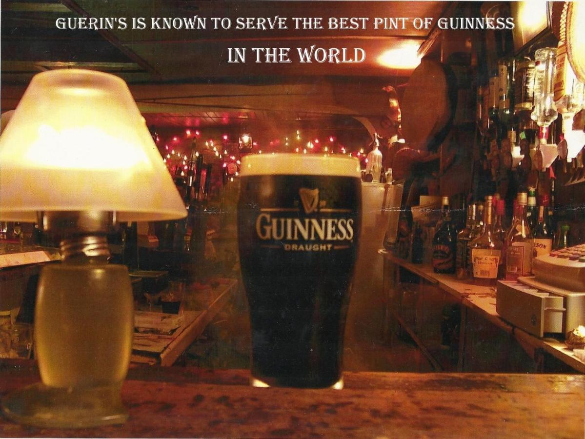 Kingfisher Lodge & Pub Castleconnell エクステリア 写真