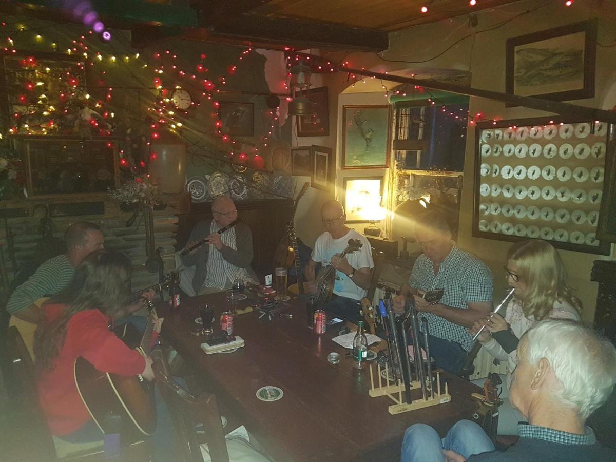 Kingfisher Lodge & Pub Castleconnell エクステリア 写真