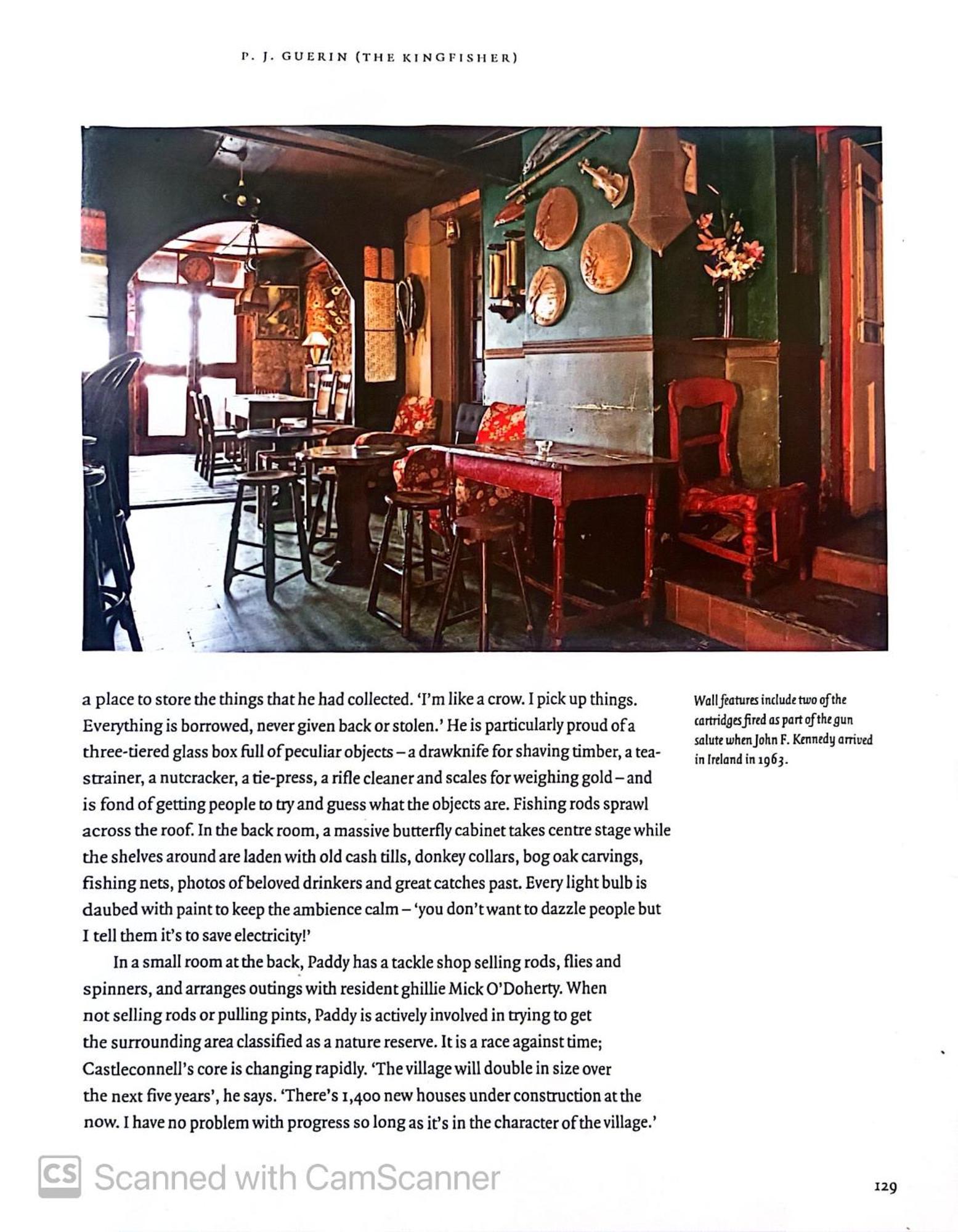 Kingfisher Lodge & Pub Castleconnell エクステリア 写真