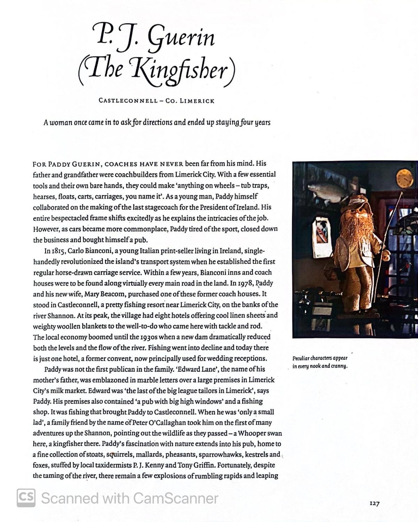 Kingfisher Lodge & Pub Castleconnell エクステリア 写真